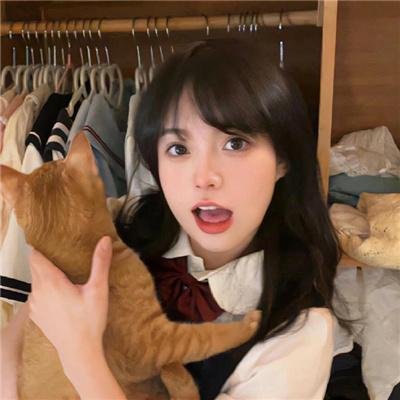 租赁猫